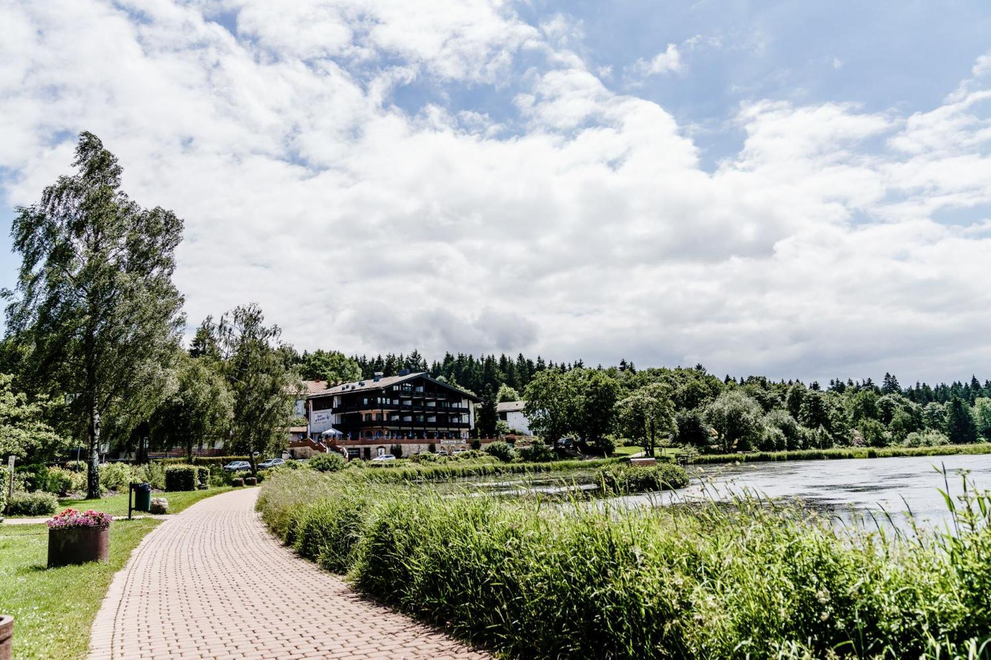 Haus Am See Luxury Hs 228 B Goslar Exteriör bild